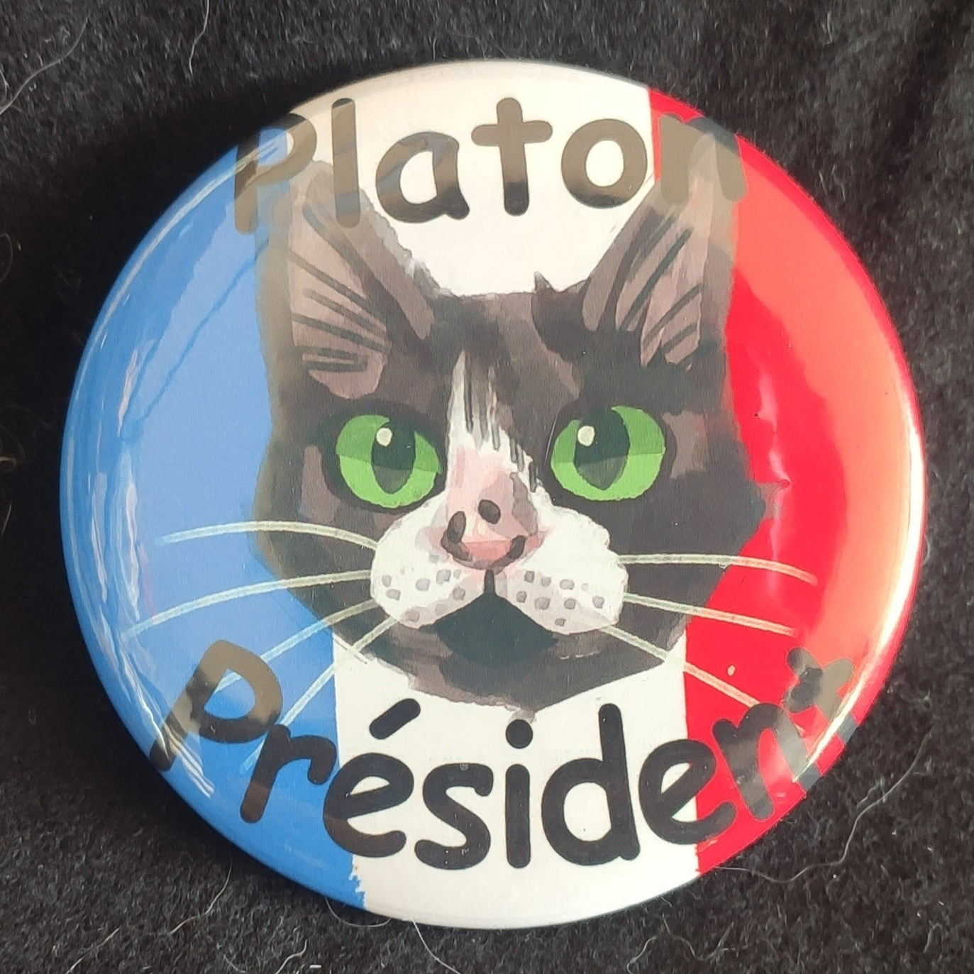 Badge Platon Président