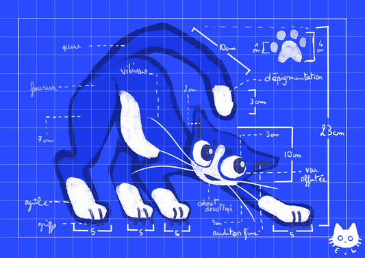 Print blue print
